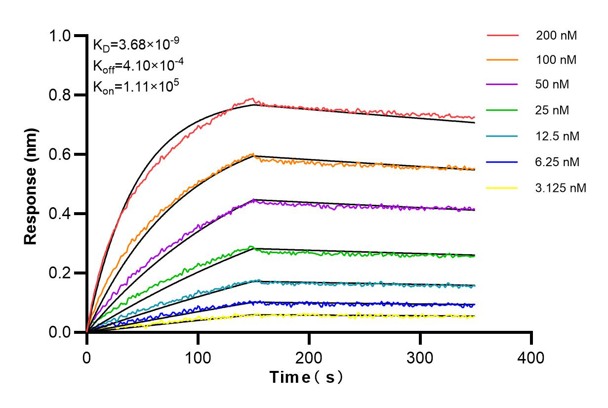 Affinity and Kinetic Characterization of 84567-2-RR