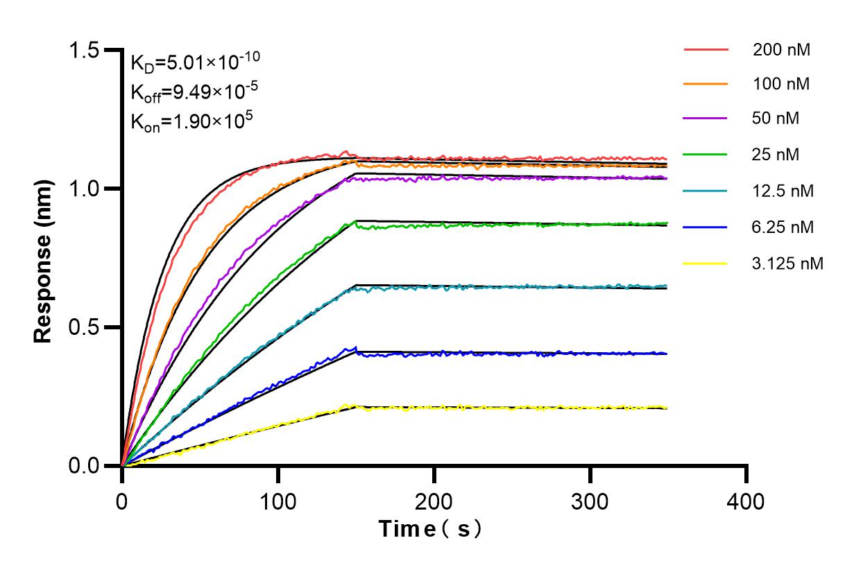 Affinity and Kinetic Characterization of 84568-3-RR