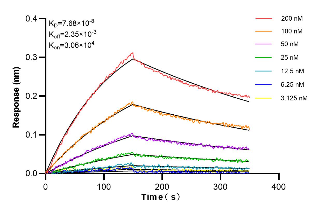 Affinity and Kinetic Characterization of 84574-4-RR