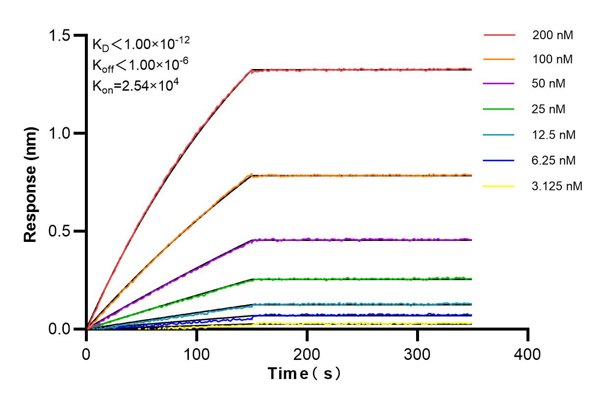 Affinity and Kinetic Characterization of 84576-4-RR