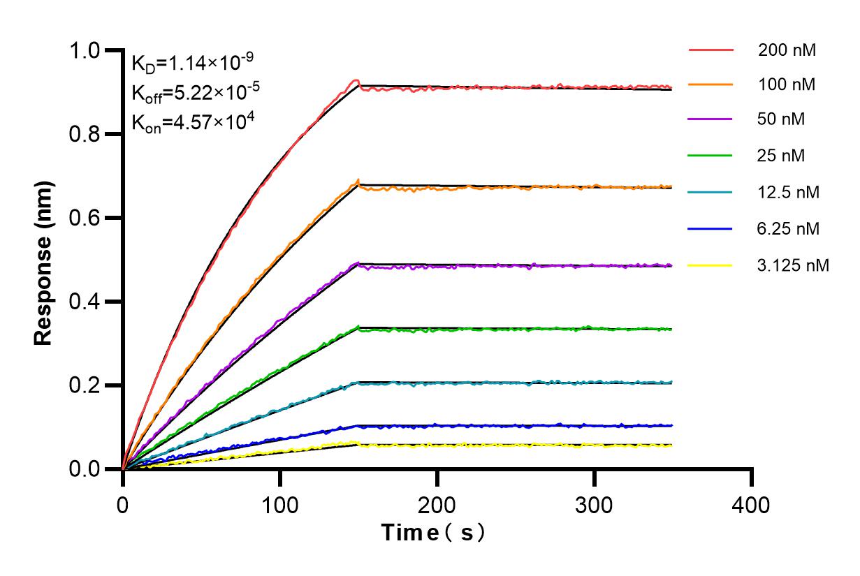 Affinity and Kinetic Characterization of 84578-3-RR