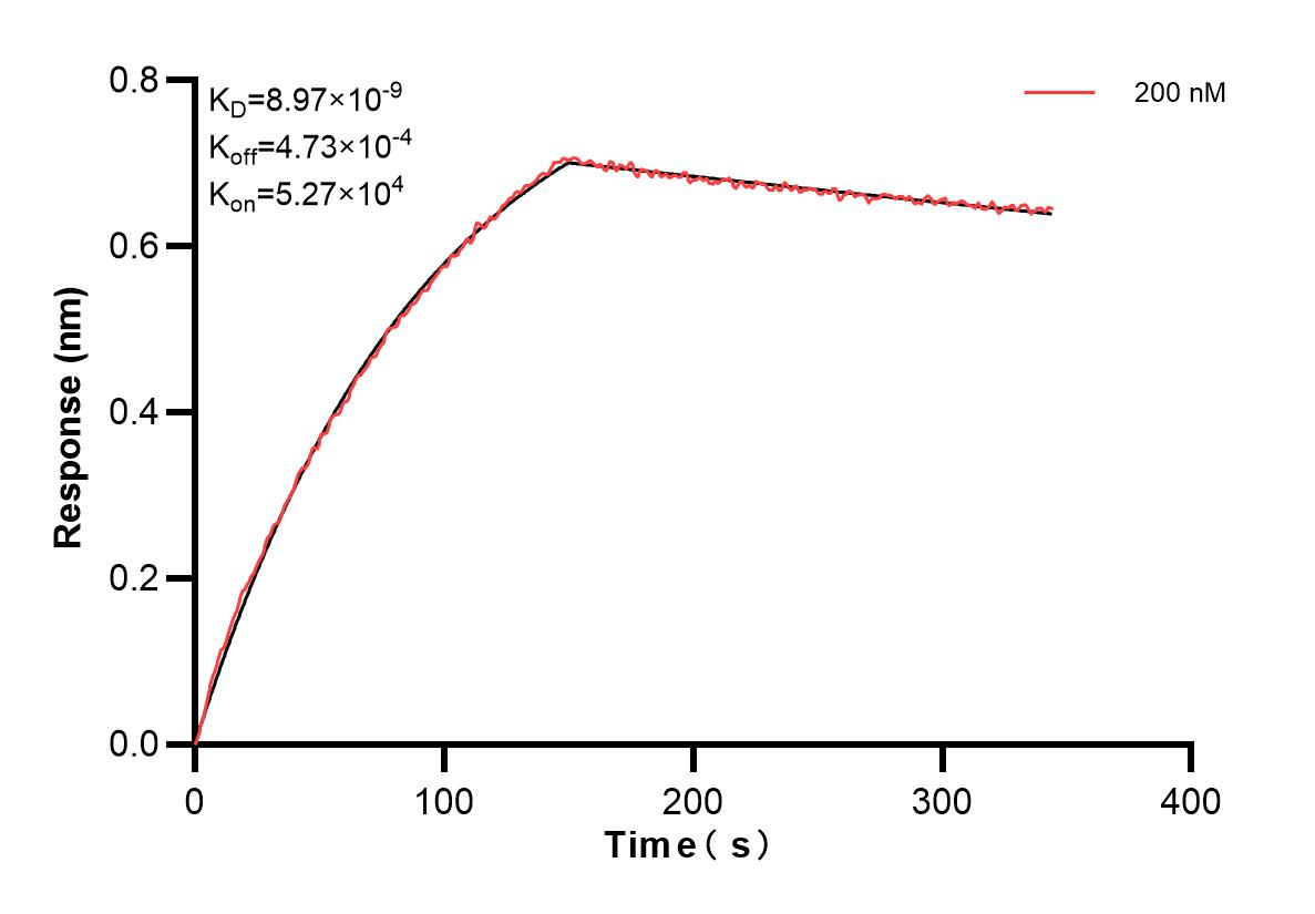 Affinity and Kinetic Characterization of 84581-1-PBS