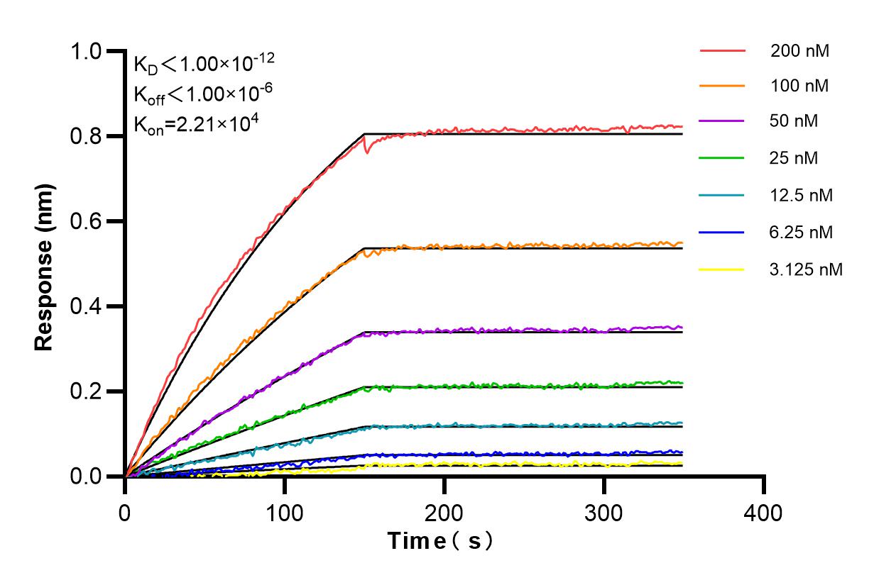 Affinity and Kinetic Characterization of 84584-5-RR