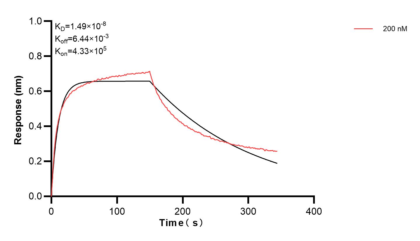 Affinity and Kinetic Characterization of 84585-1-PBS