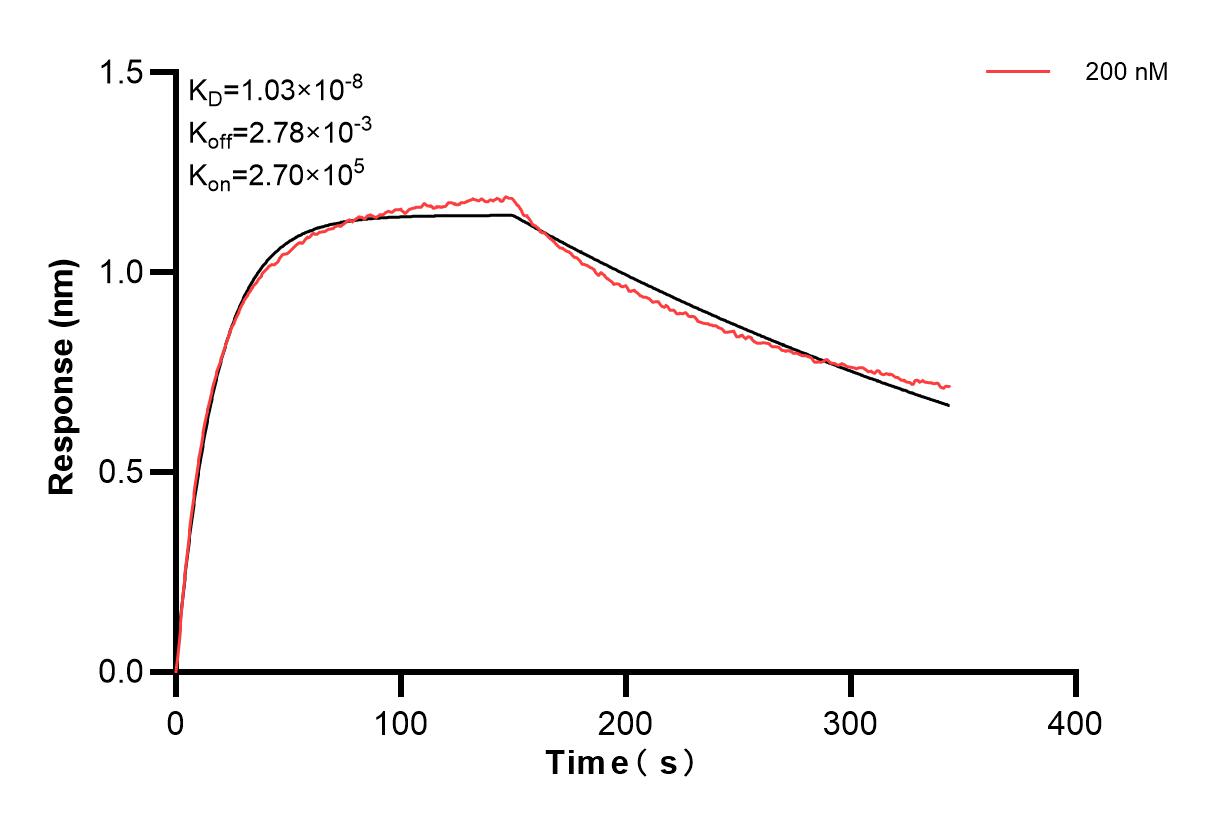 Affinity and Kinetic Characterization of 84585-3-PBS