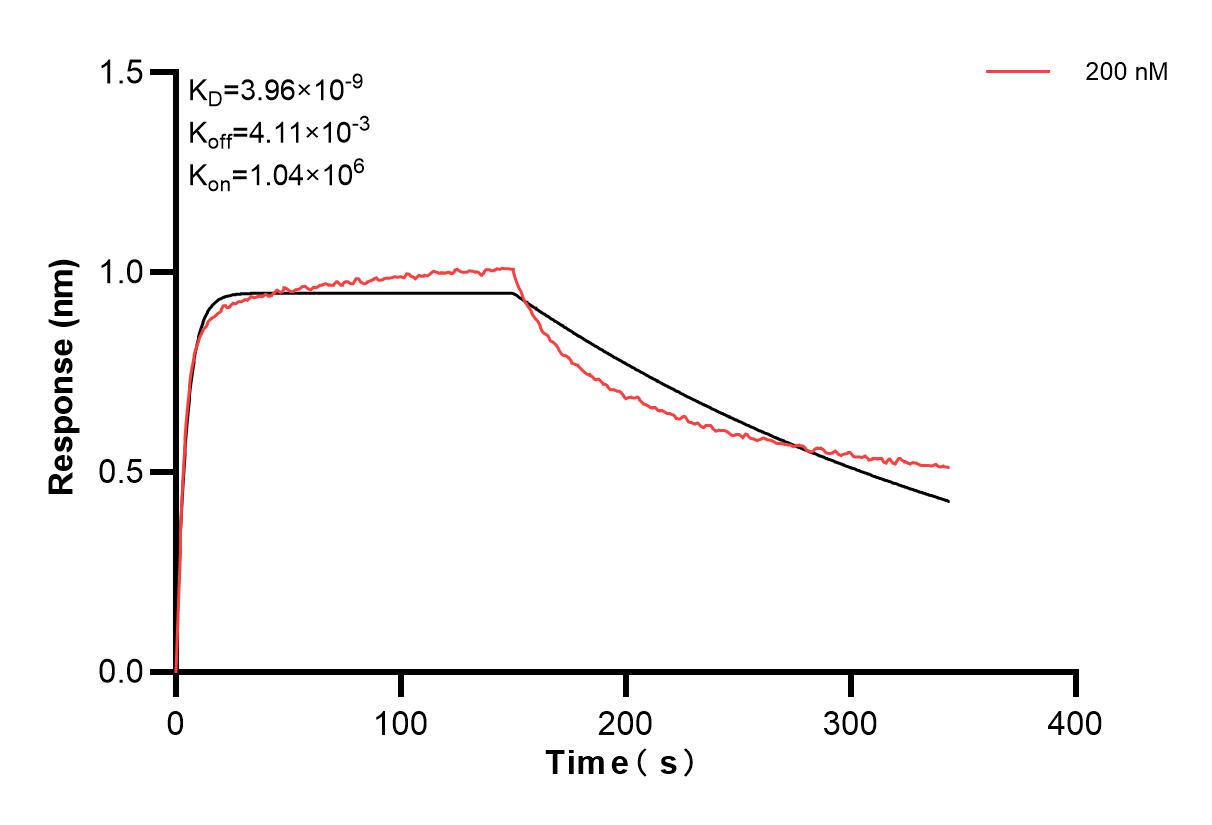 Affinity and Kinetic Characterization of 84585-4-PBS