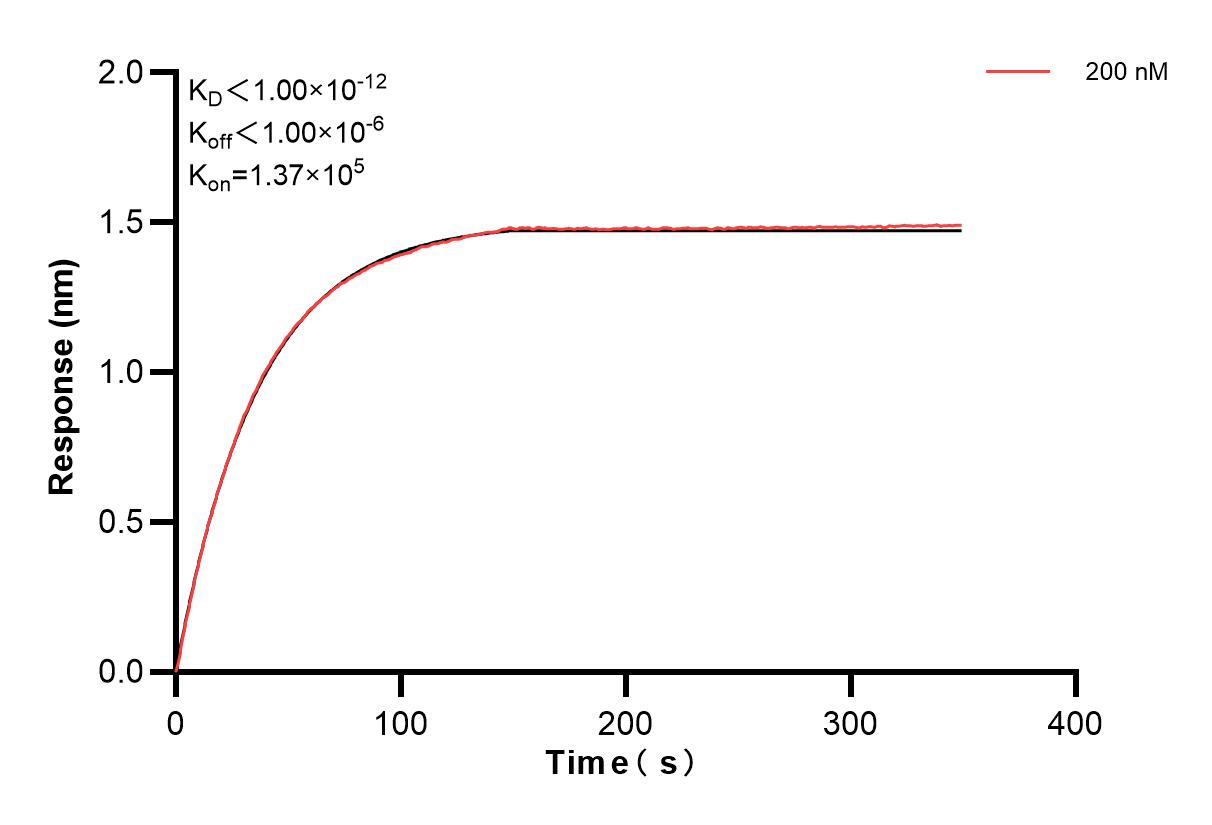 Affinity and Kinetic Characterization of 84607-1-PBS