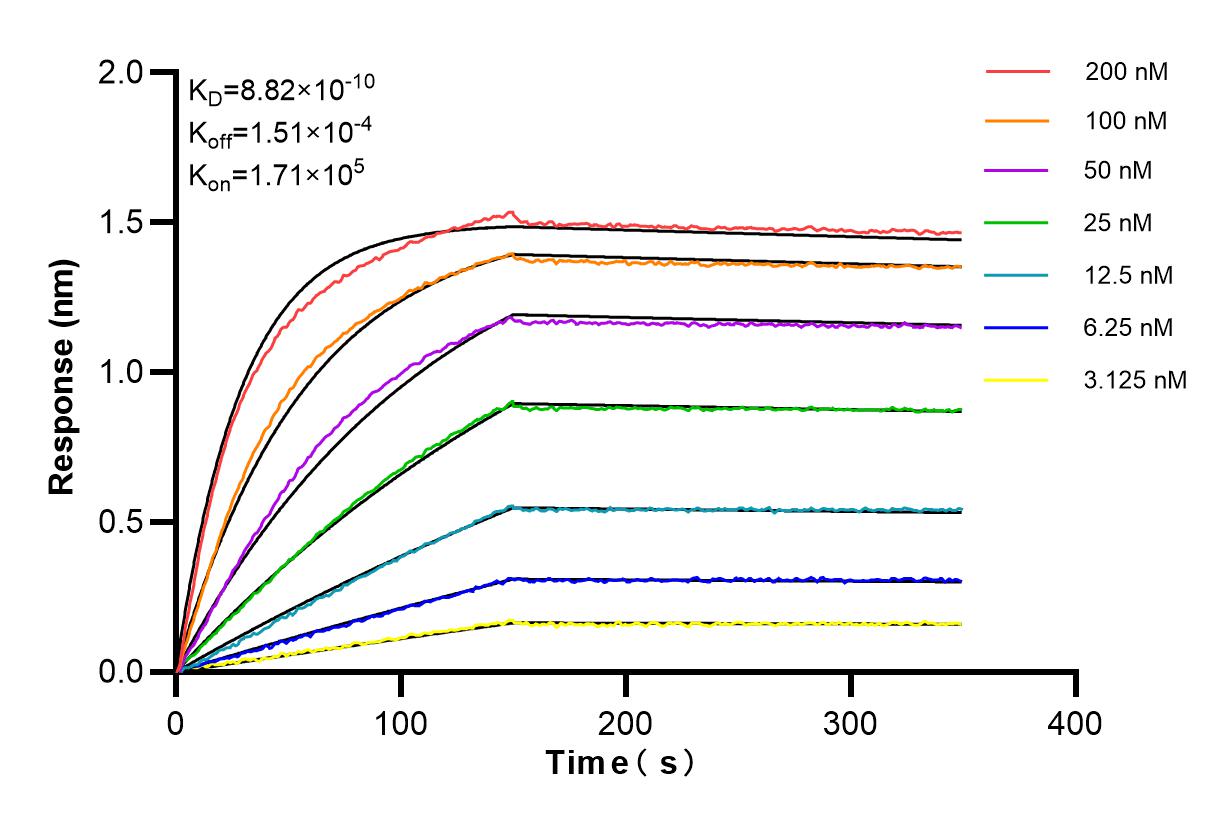 Affinity and Kinetic Characterization of 84607-4-RR