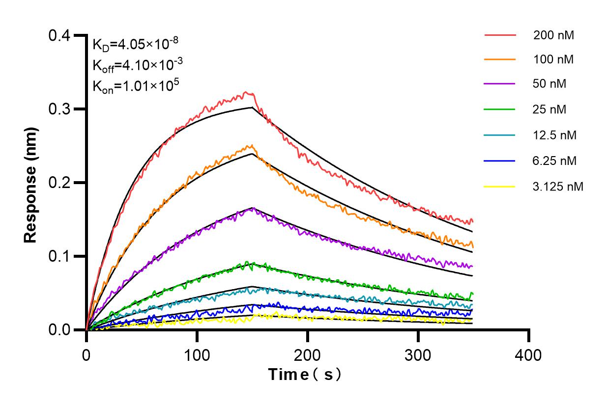 Affinity and Kinetic Characterization of 84609-3-RR