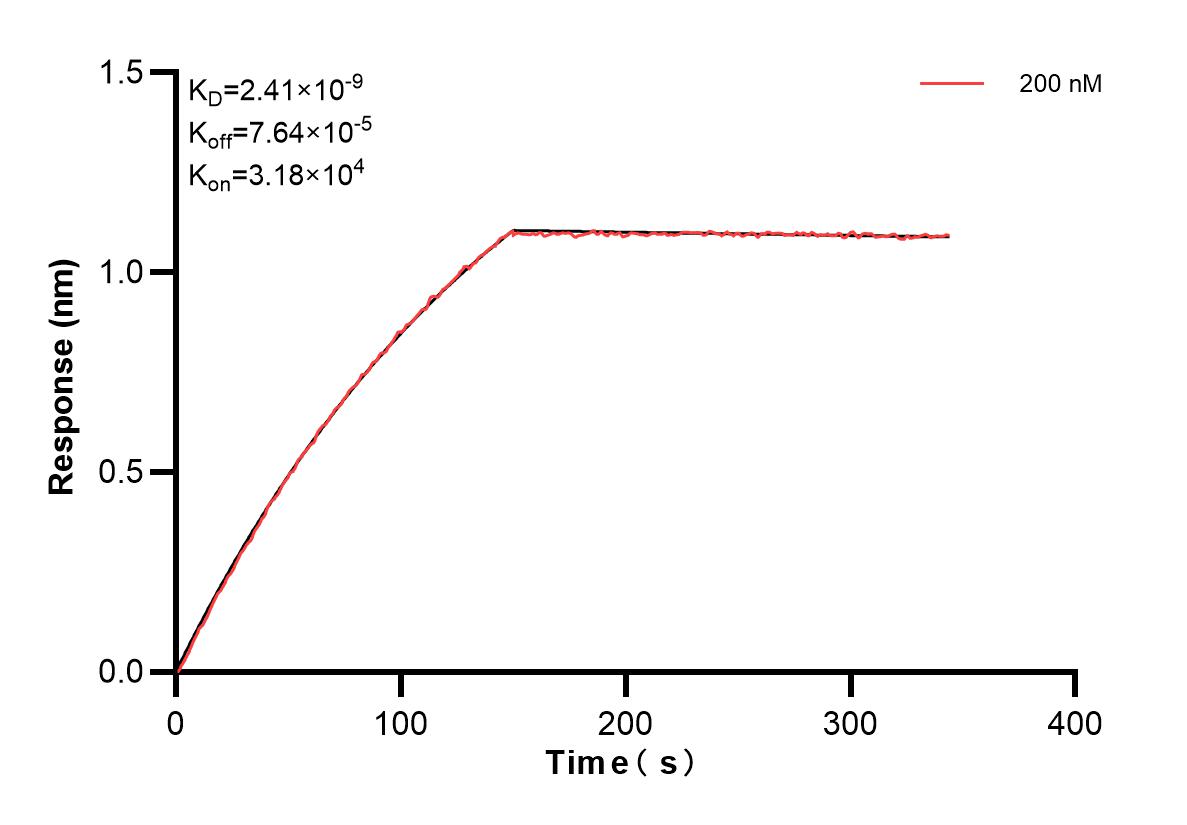 Affinity and Kinetic Characterization of 84612-2-PBS