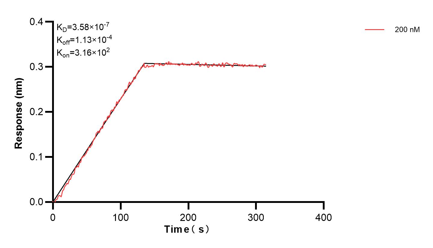 Affinity and Kinetic Characterization of 84612-3-PBS