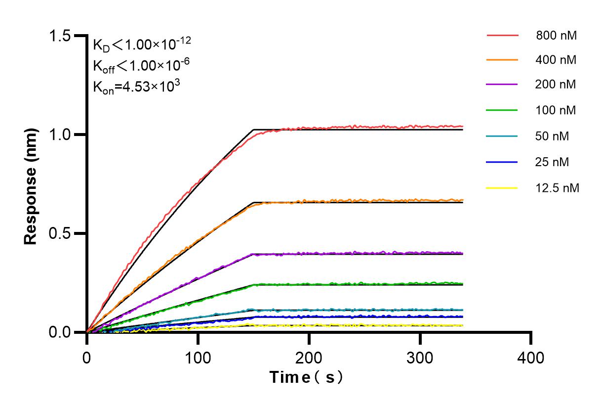 Affinity and Kinetic Characterization of 84612-3-RR