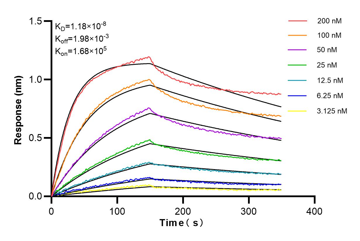 Affinity and Kinetic Characterization of 84623-6-RR