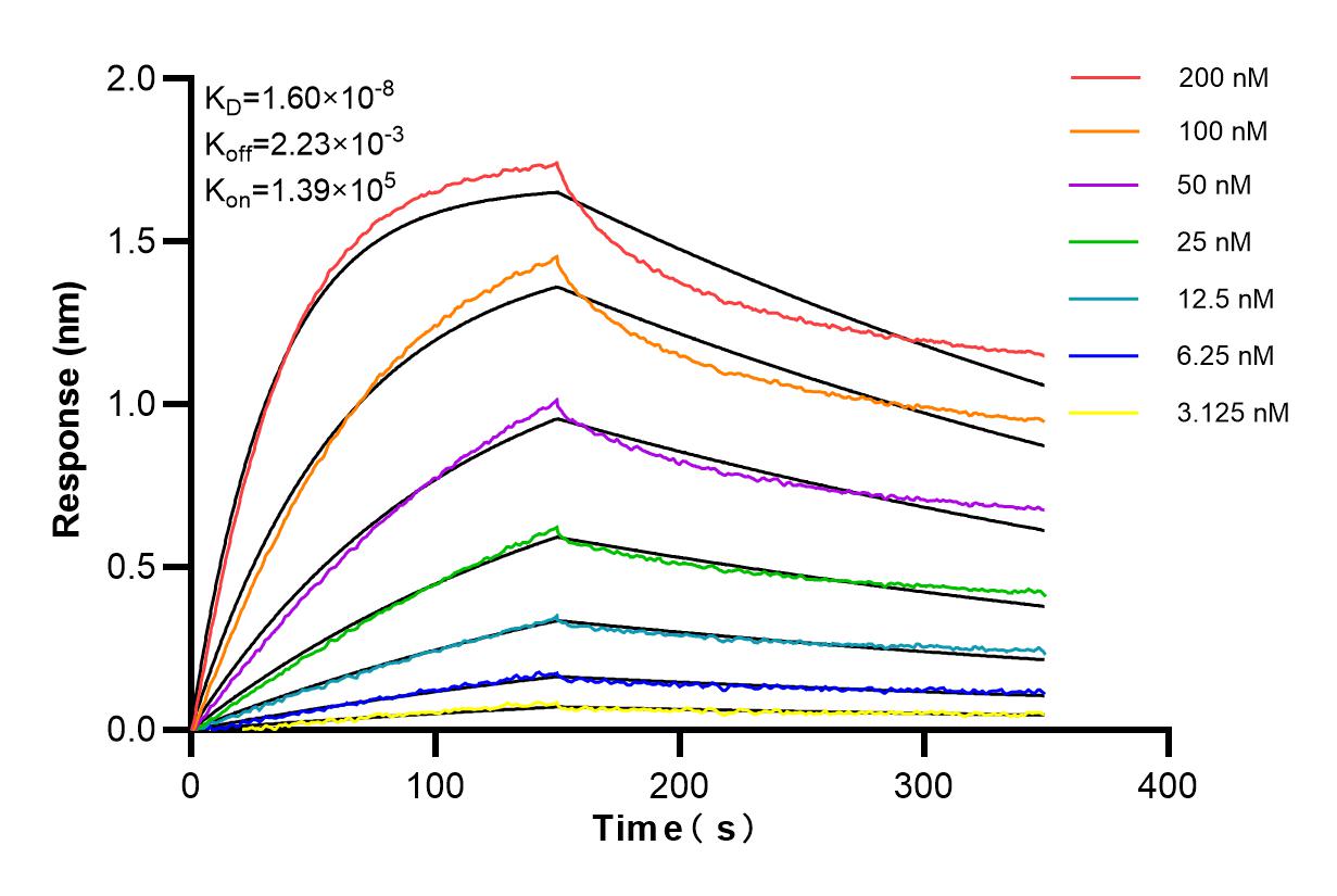 Affinity and Kinetic Characterization of 84623-7-RR