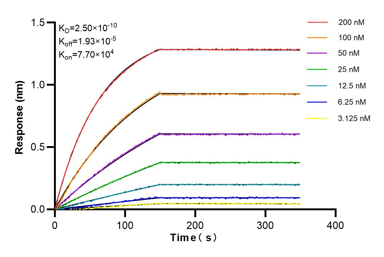 Affinity and Kinetic Characterization of 84651-3-RR