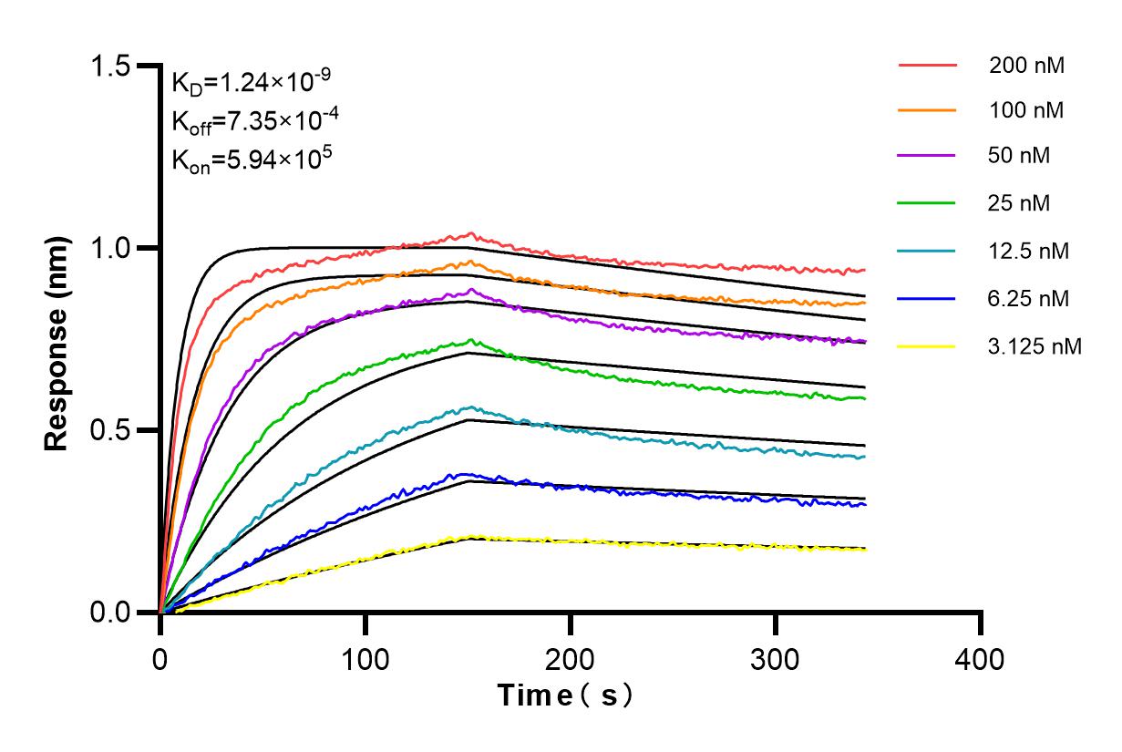 Affinity and Kinetic Characterization of 84656-4-RR