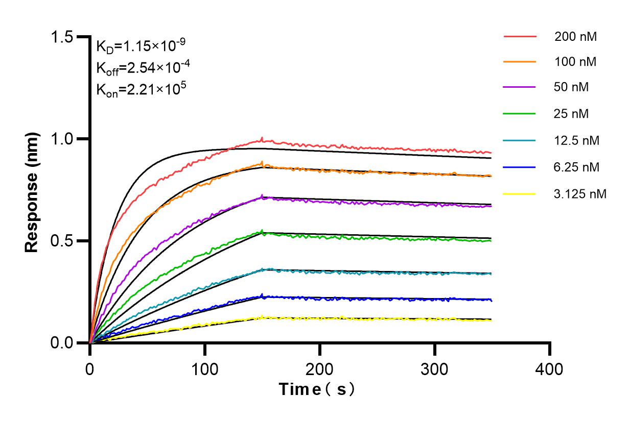 Affinity and Kinetic Characterization of 84668-2-RR