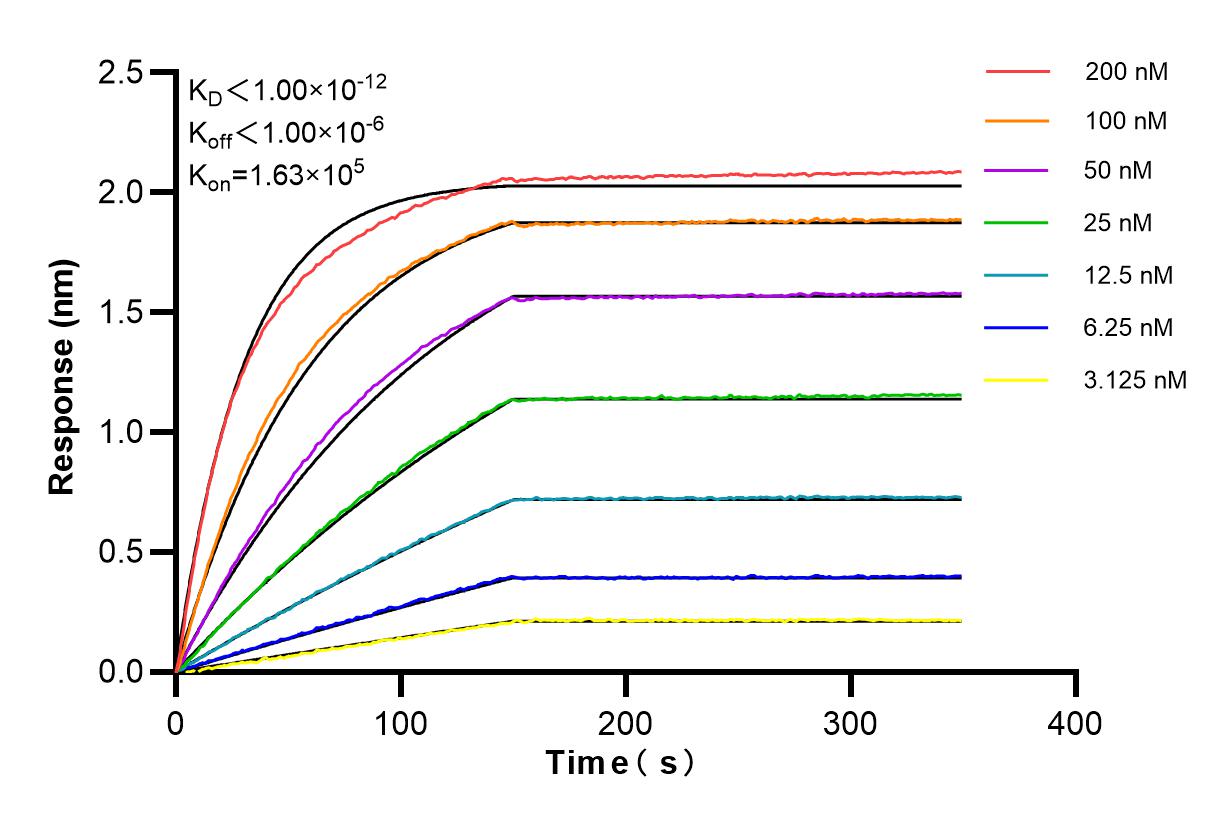 Affinity and Kinetic Characterization of 84670-3-RR