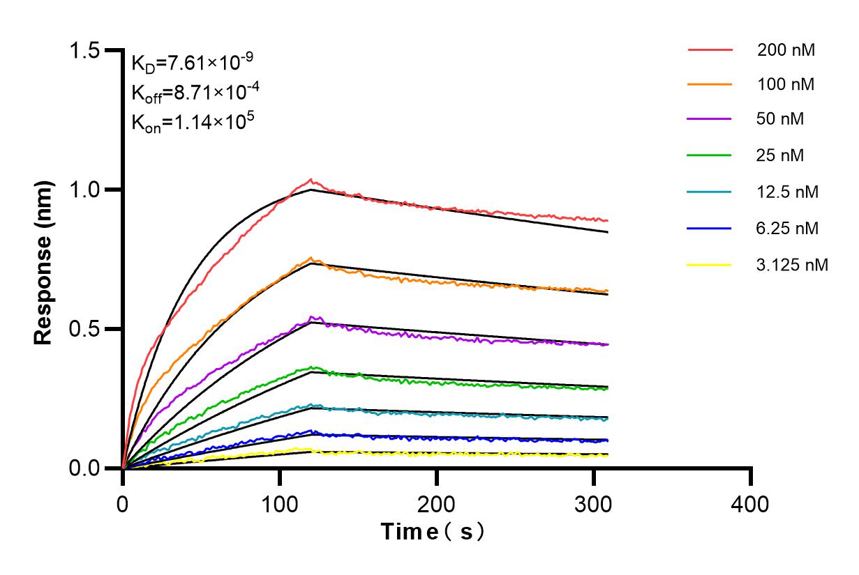 Affinity and Kinetic Characterization of 84675-5-RR