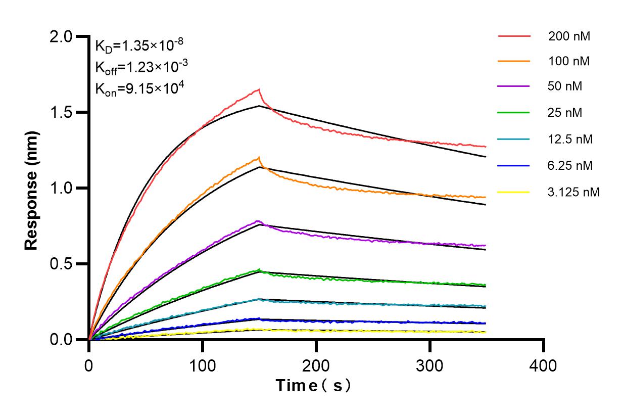 Affinity and Kinetic Characterization of 84684-5-RR