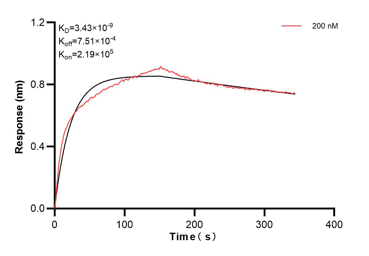 Affinity and Kinetic Characterization of 84686-2-PBS