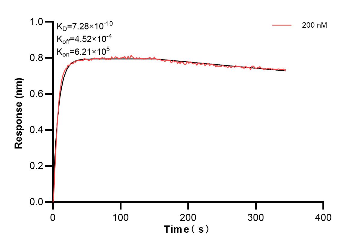 Affinity and Kinetic Characterization of 84687-1-PBS