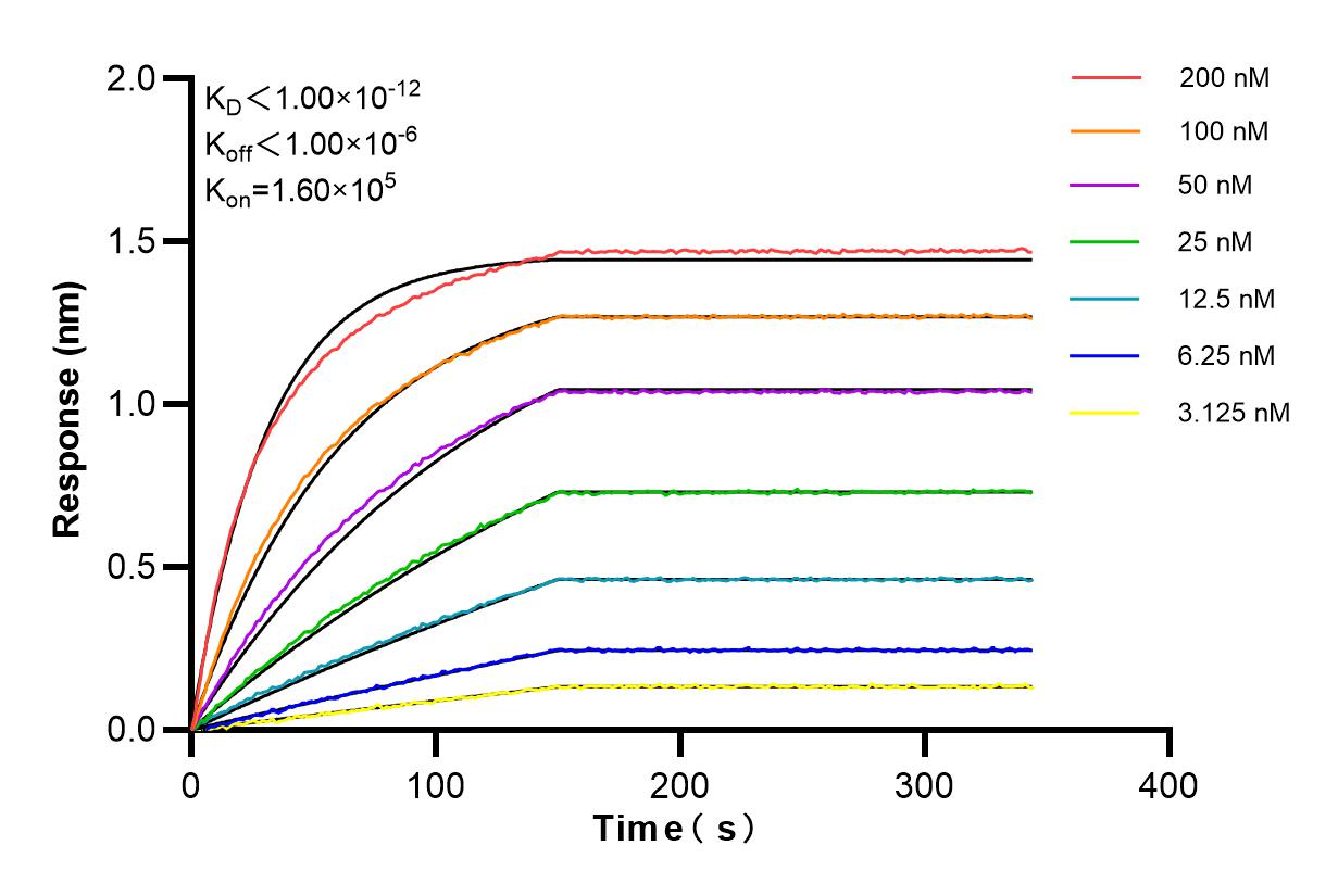 Affinity and Kinetic Characterization of 84708-1-RR