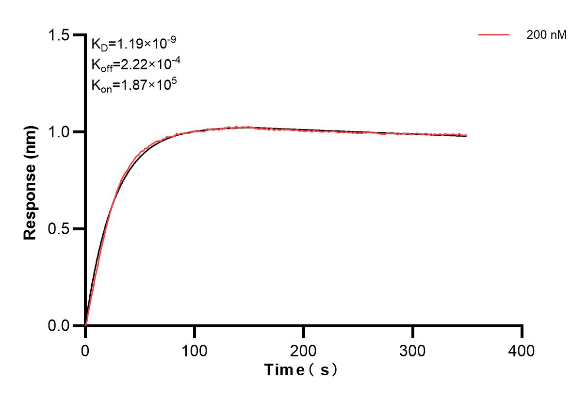 Affinity and Kinetic Characterization of 84711-1-PBS