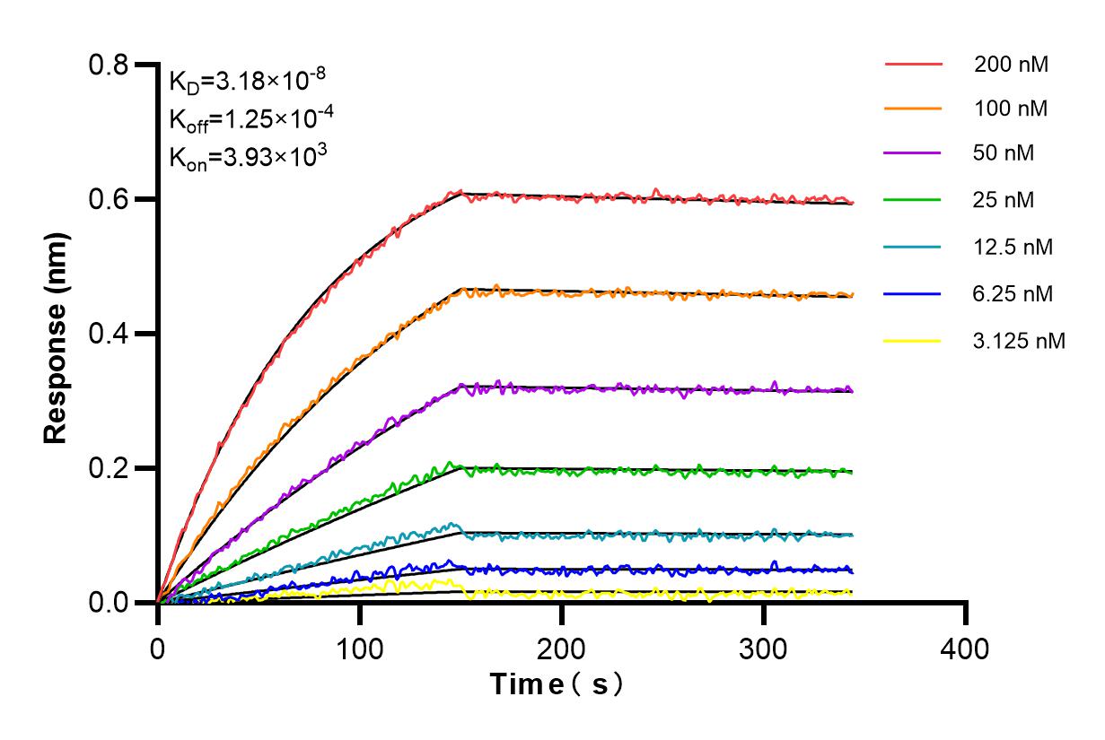 Affinity and Kinetic Characterization of 84716-2-RR