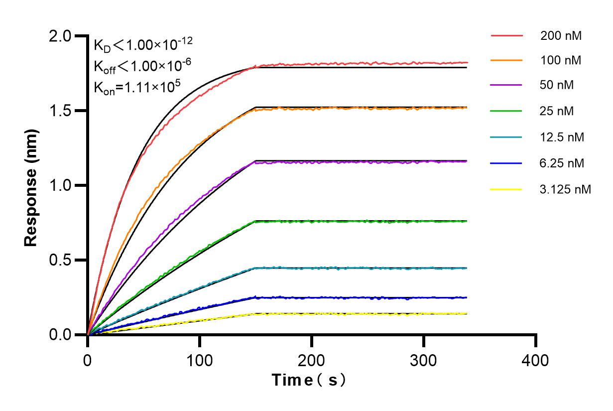 Affinity and Kinetic Characterization of 84722-4-RR