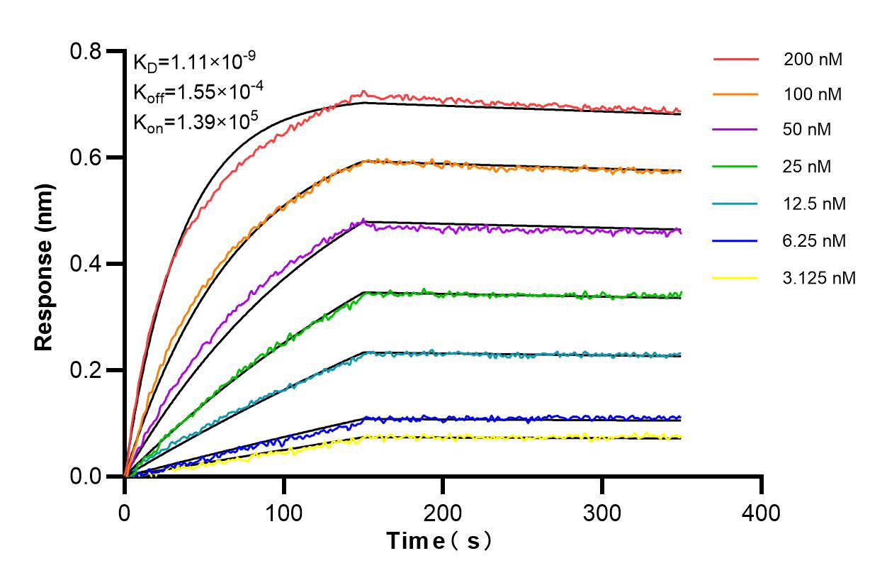 Affinity and Kinetic Characterization of 84738-2-RR