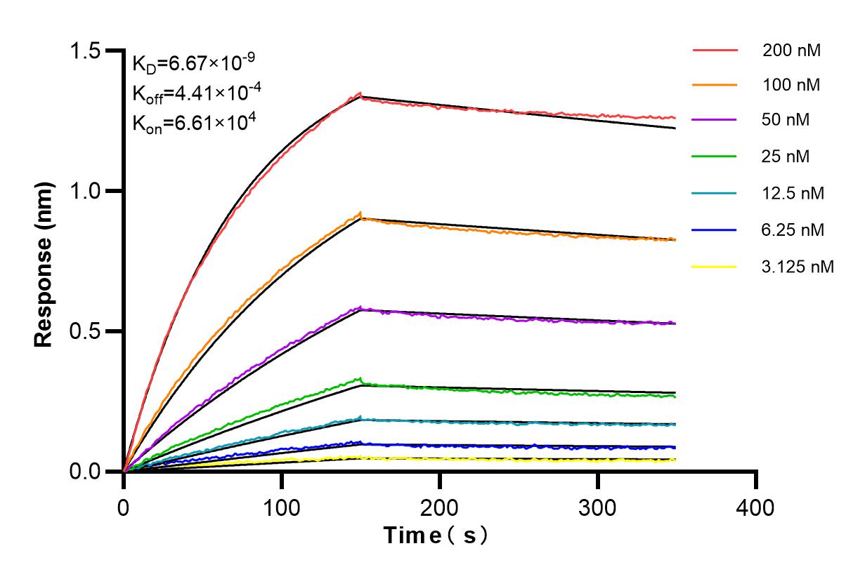 Affinity and Kinetic Characterization of 84746-1-RR