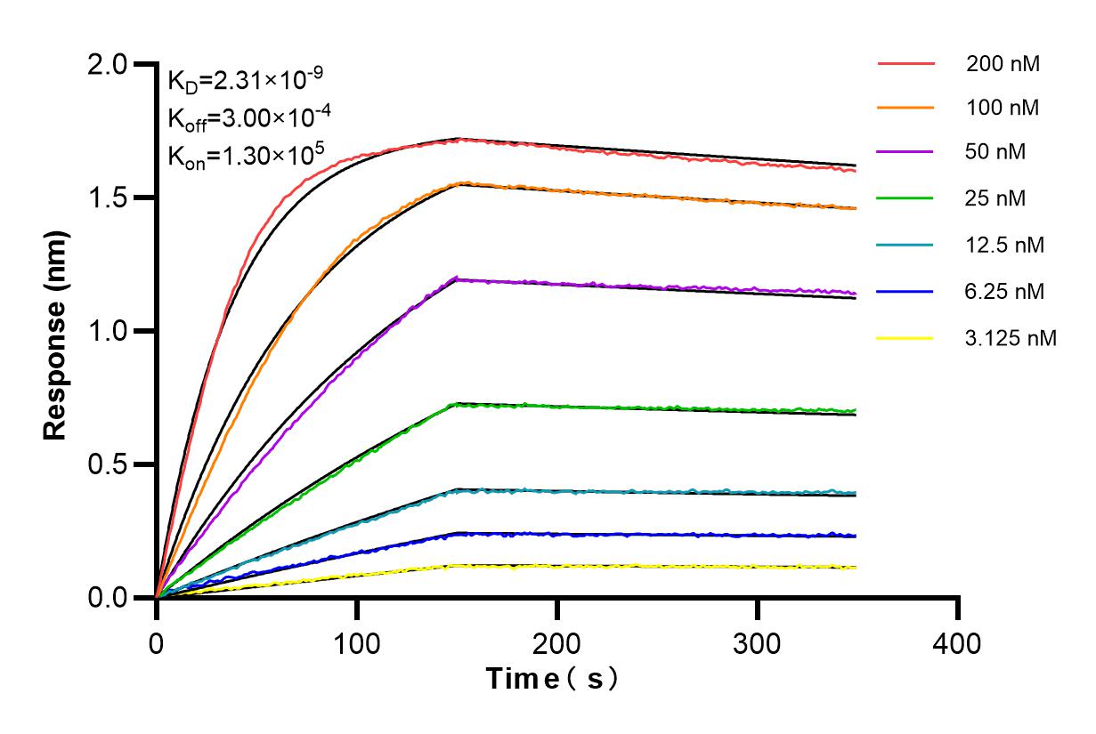 Affinity and Kinetic Characterization of 84756-5-RR