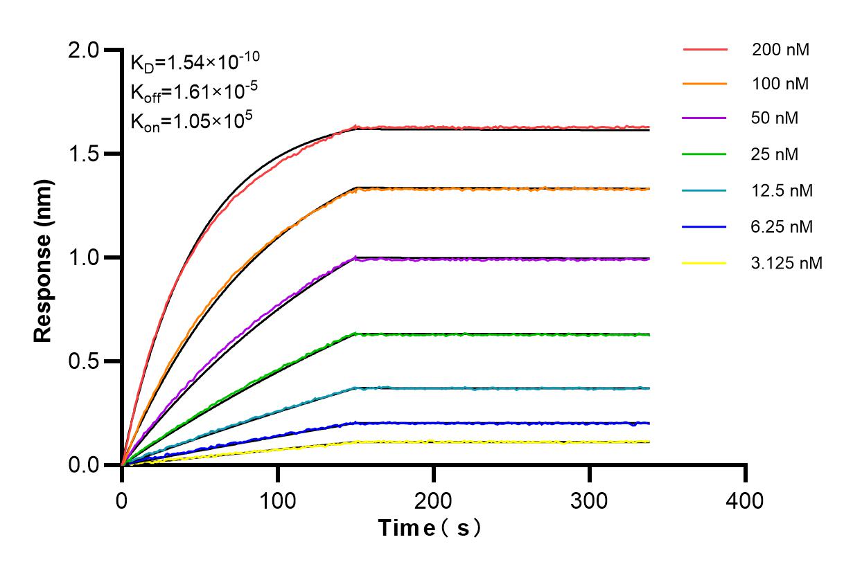 Affinity and Kinetic Characterization of 84764-5-RR