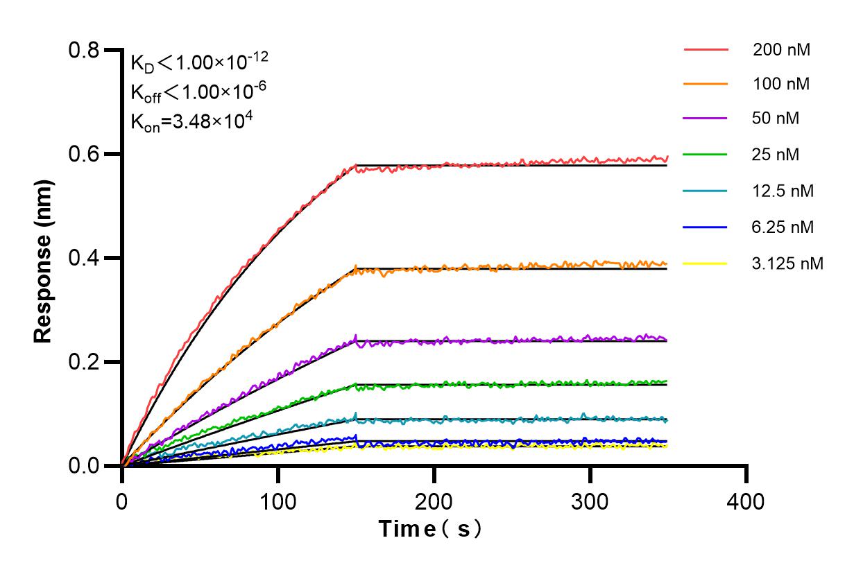 Affinity and Kinetic Characterization of 84775-6-RR