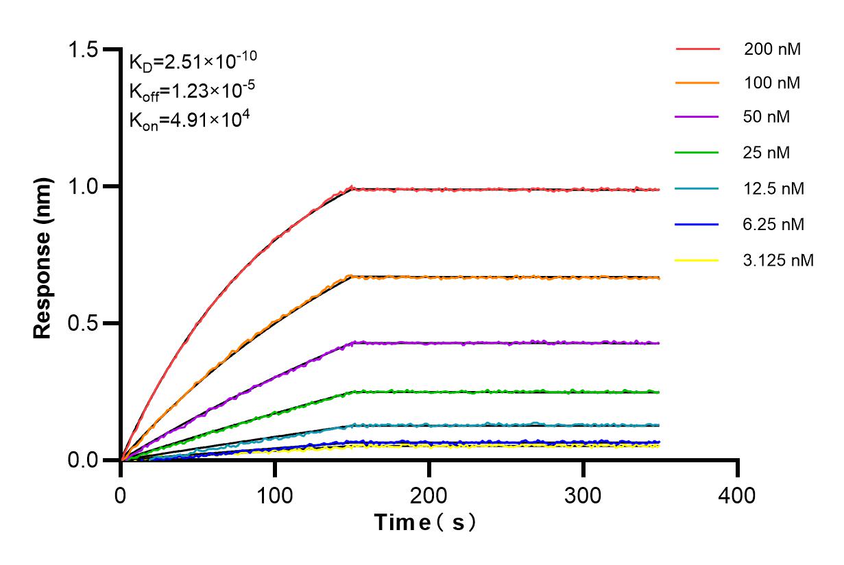 Affinity and Kinetic Characterization of 84793-5-RR