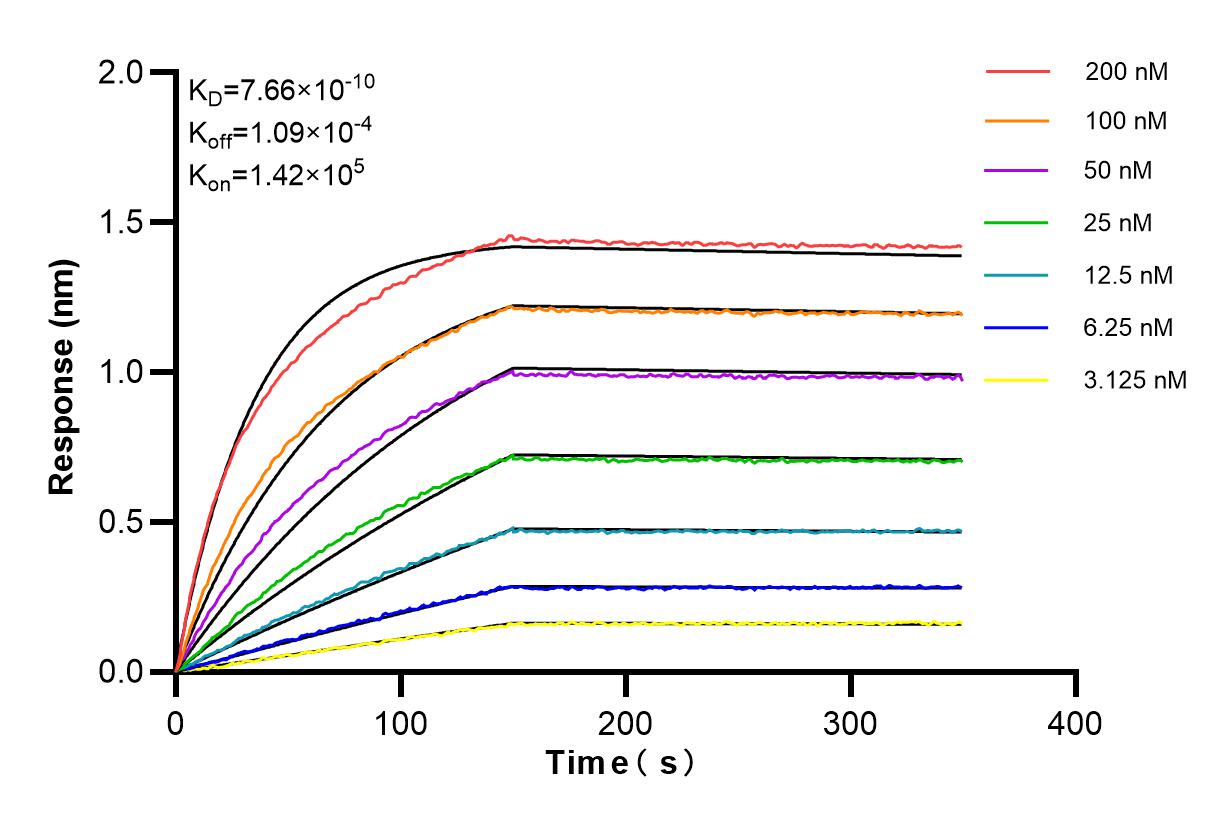 Affinity and Kinetic Characterization of 84807-5-RR