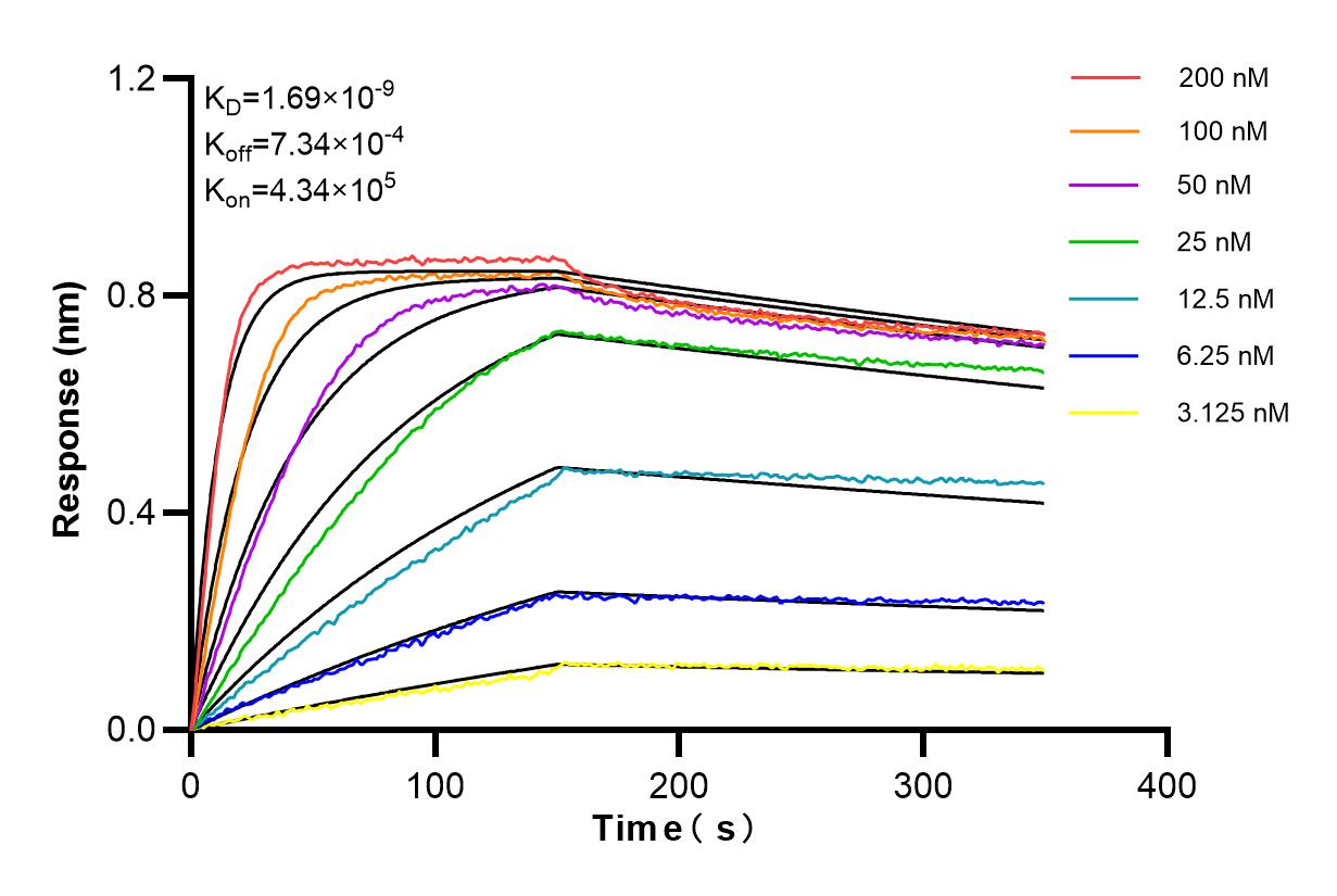 Affinity and Kinetic Characterization of 84814-1-RR