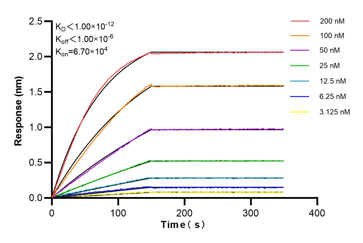 Affinity and Kinetic Characterization of 84849-4-RR