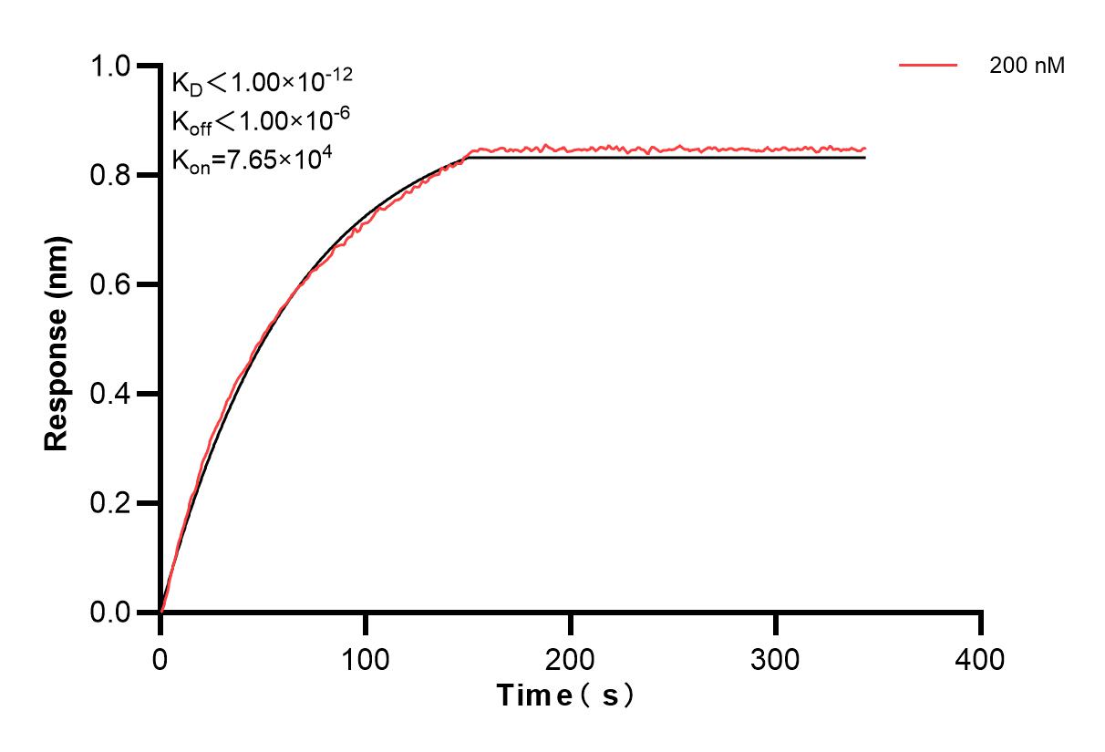 Affinity and Kinetic Characterization of 84875-3-PBS