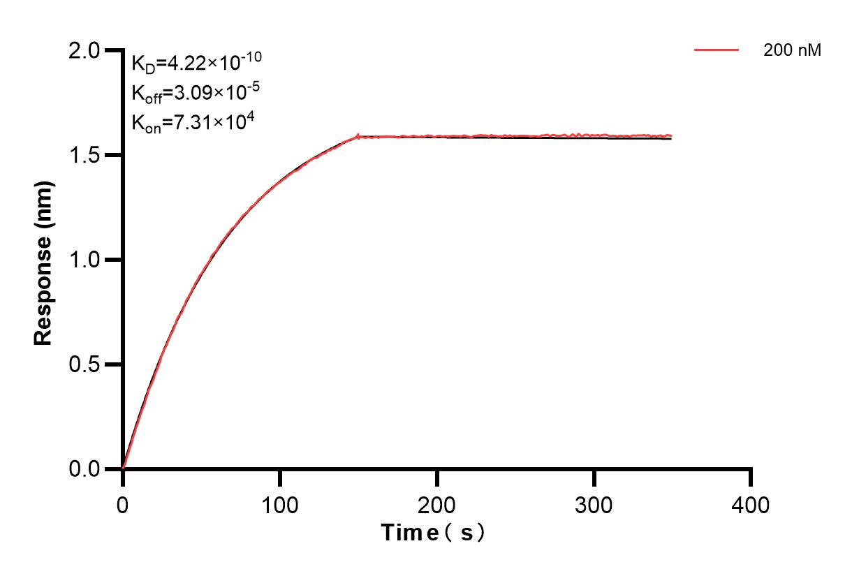 Affinity and Kinetic Characterization of 84883-1-PBS