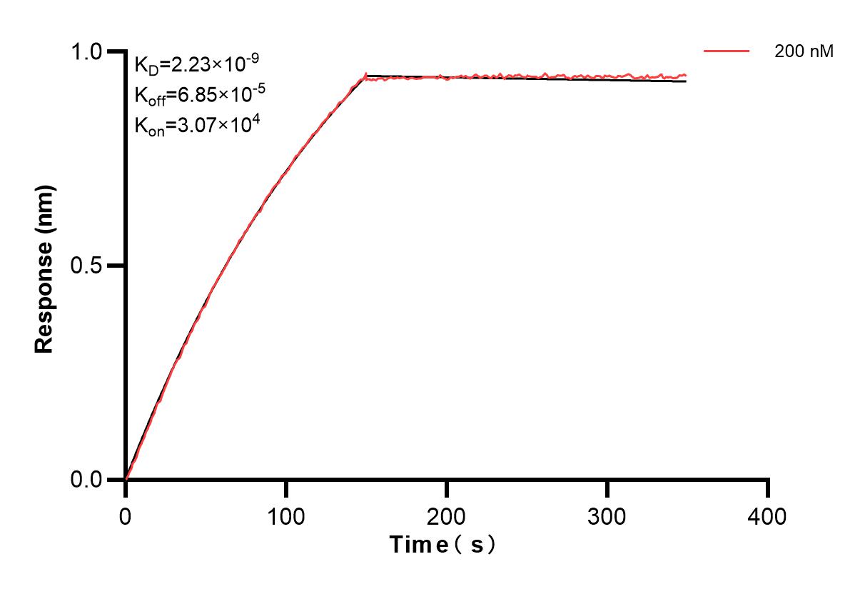 Affinity and Kinetic Characterization of 84883-2-PBS
