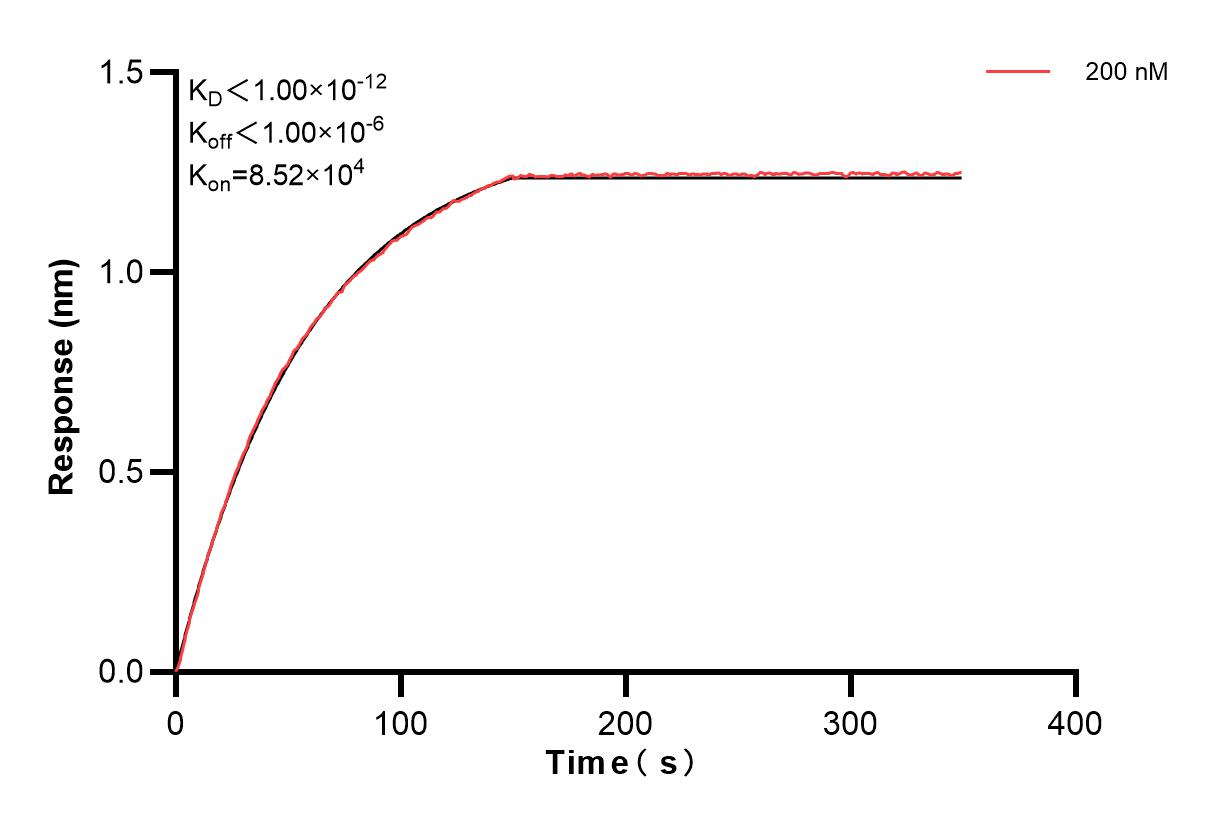 Affinity and Kinetic Characterization of 84883-3-PBS