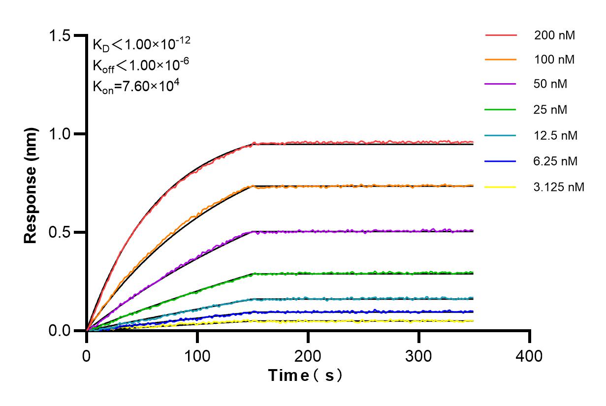 Affinity and Kinetic Characterization of 84883-3-PBS