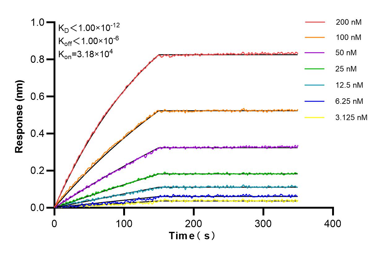 Affinity and Kinetic Characterization of 84884-5-RR