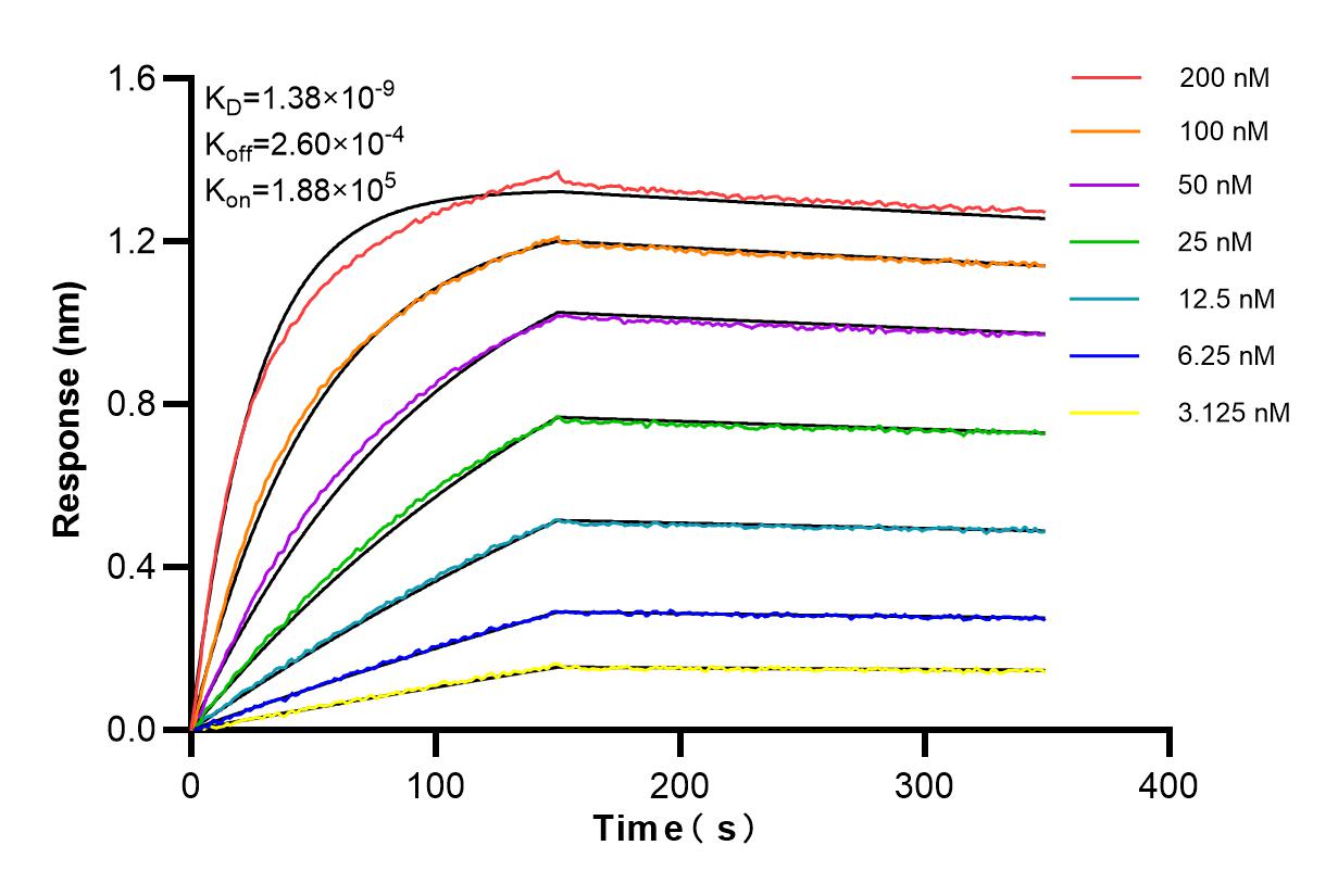 Affinity and Kinetic Characterization of 84930-3-RR