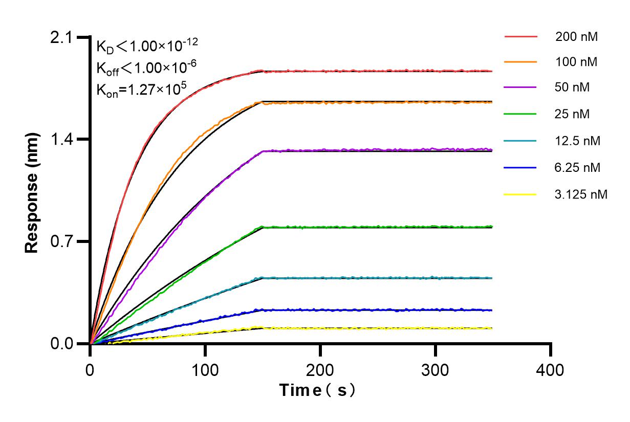 Affinity and Kinetic Characterization of 84947-4-RR