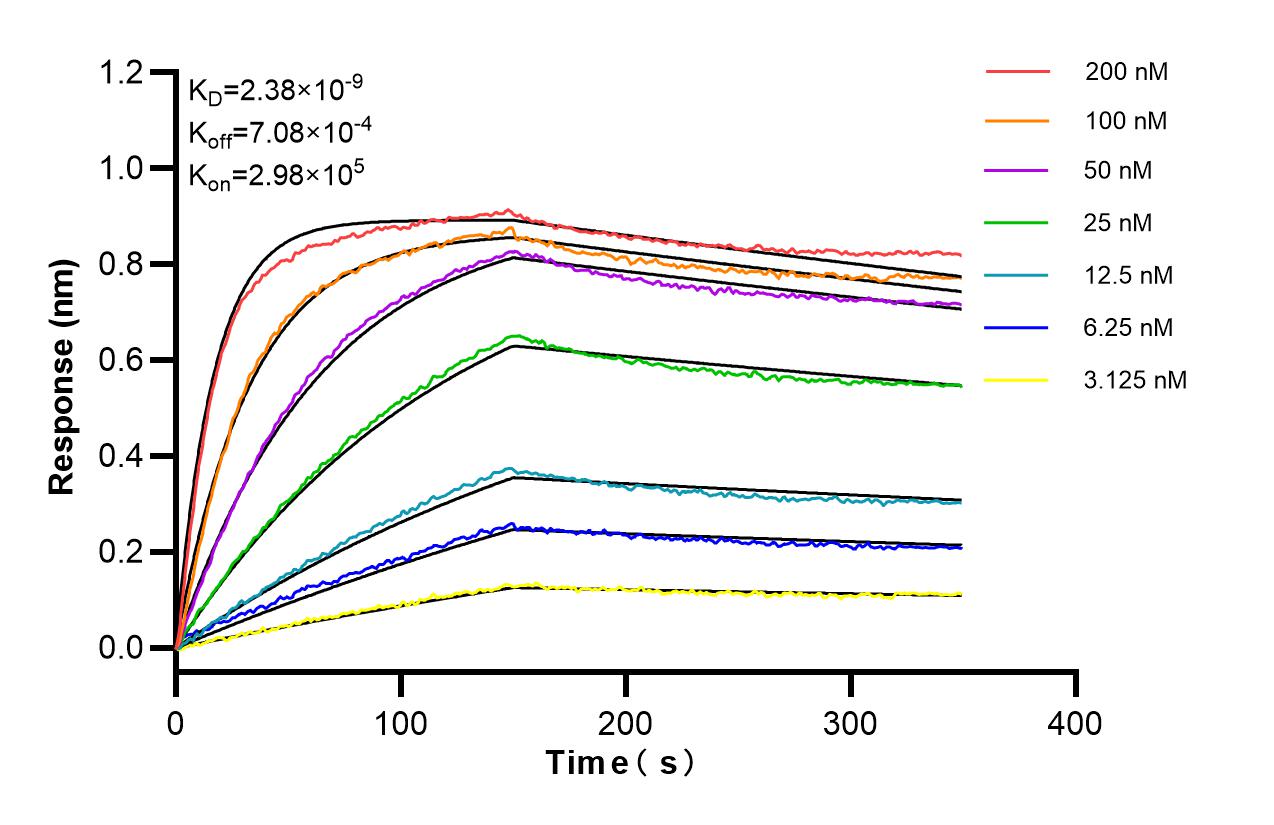 Affinity and Kinetic Characterization of 84968-4-RR