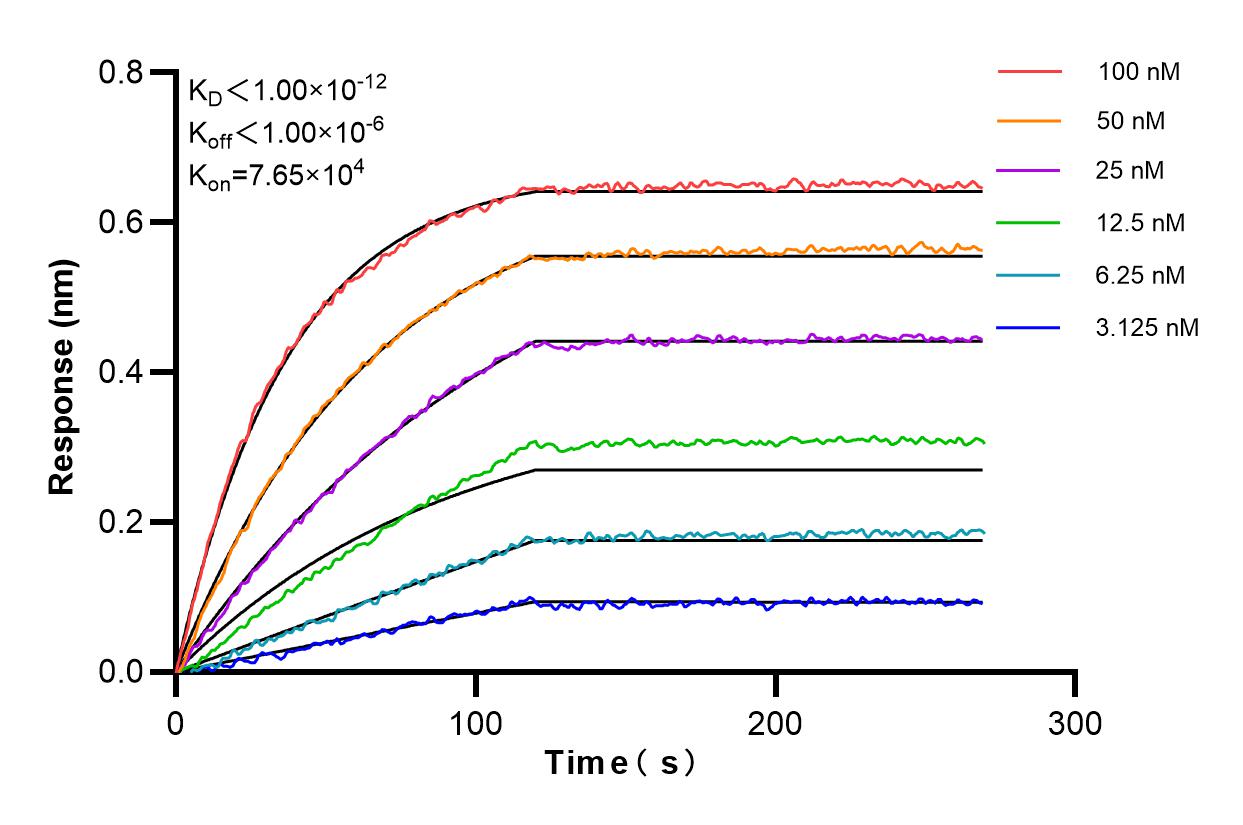 Affinity and Kinetic Characterization of 85028-2-PBS