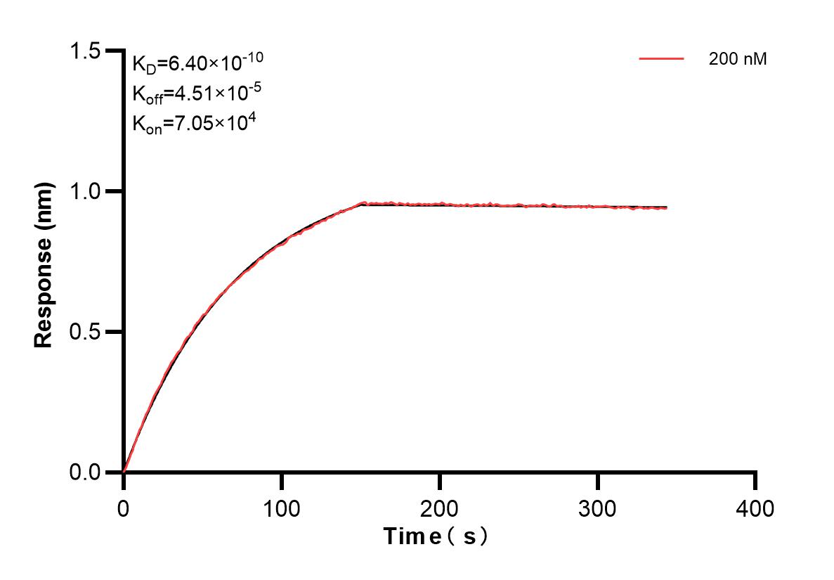 Affinity and Kinetic Characterization of 85081-1-PBS